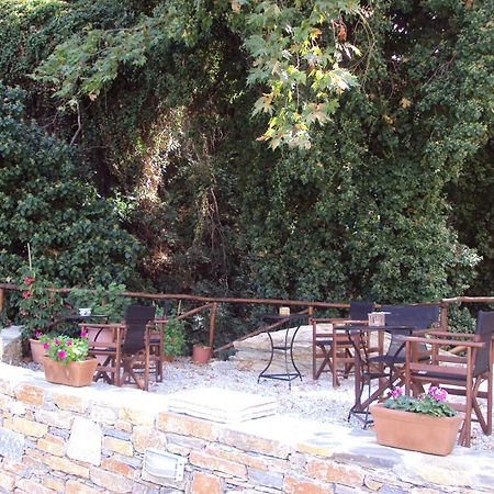 Vergopoulos Oliveyard Mouresi Exterior photo