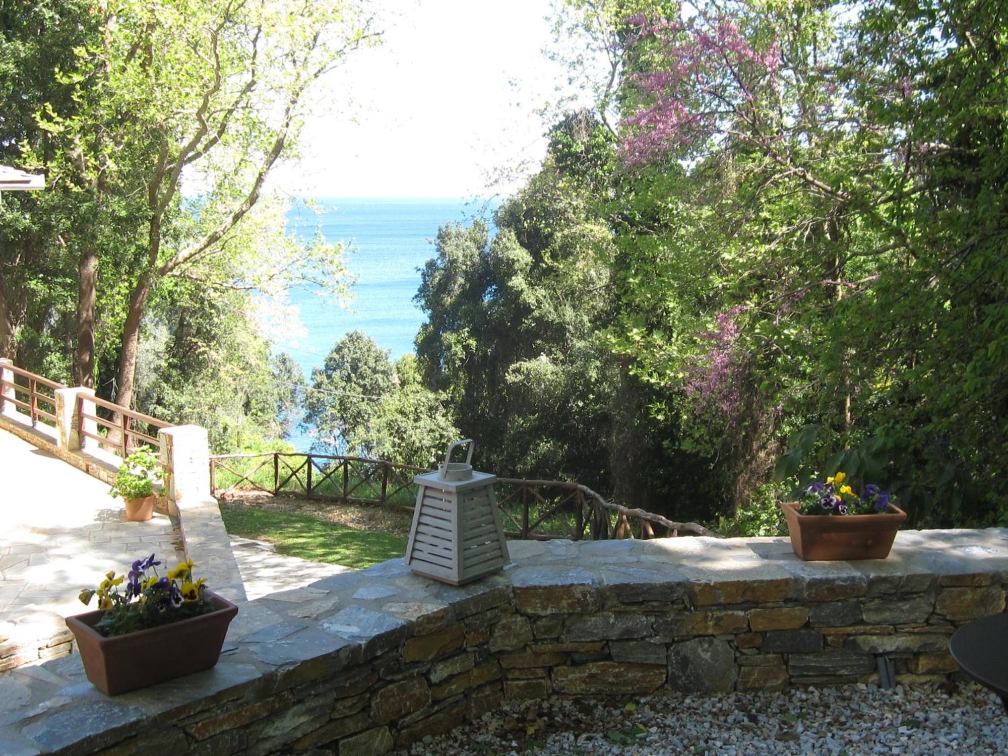 Vergopoulos Oliveyard Mouresi Exterior photo