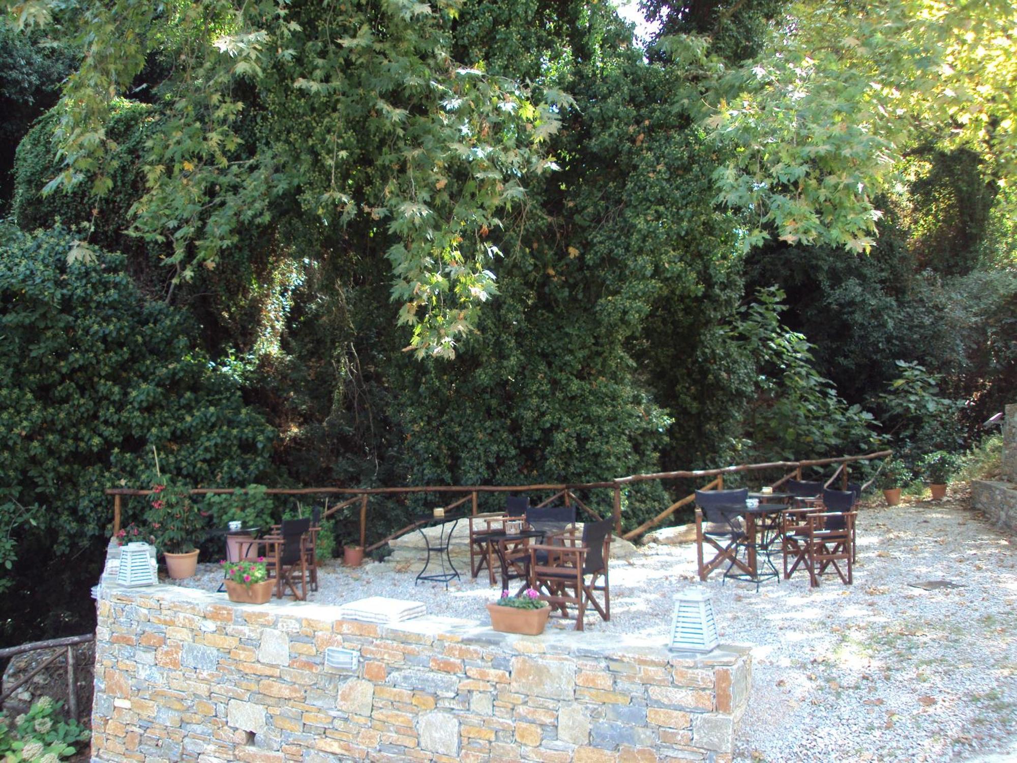 Vergopoulos Oliveyard Mouresi Exterior photo