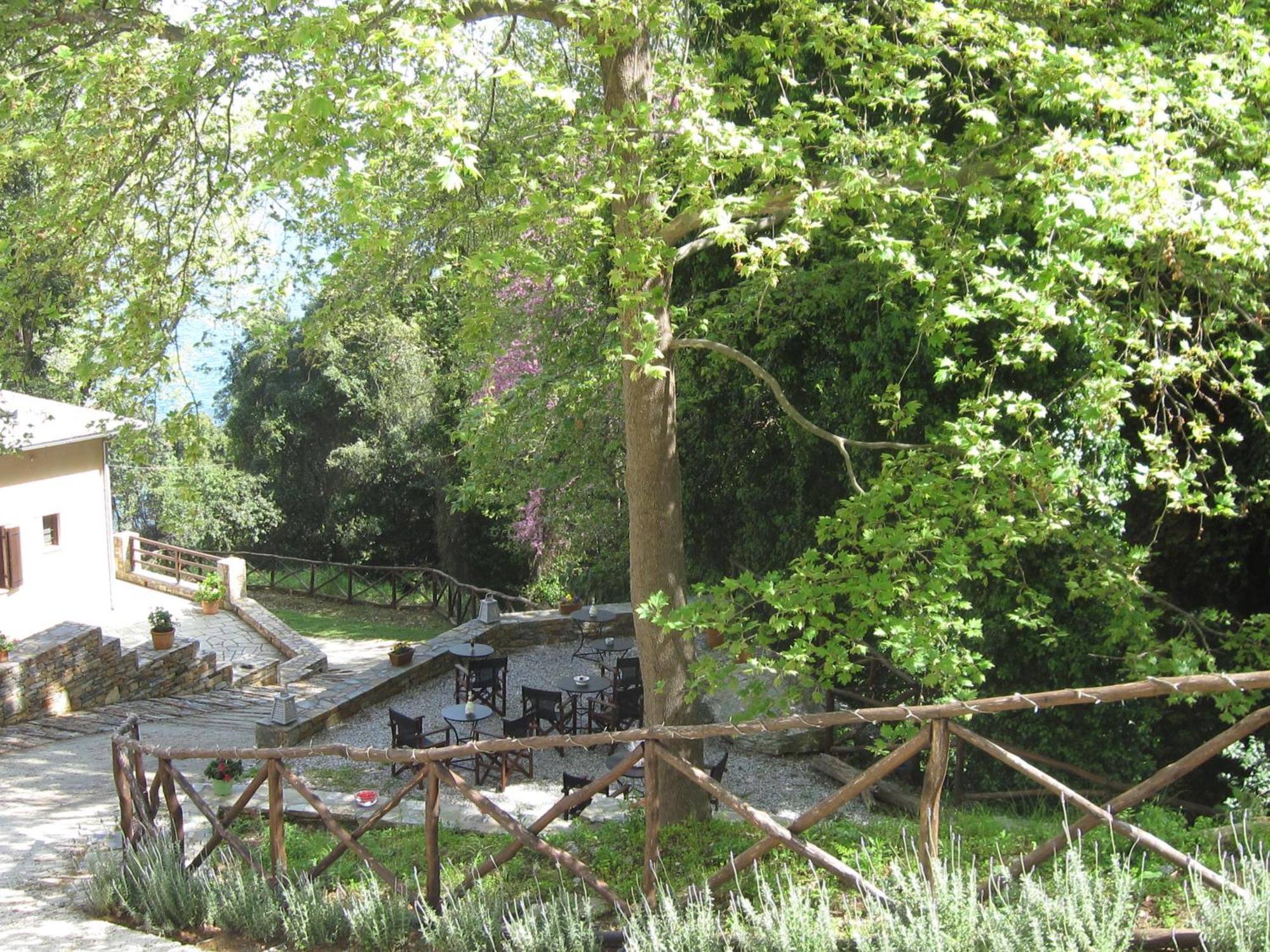 Vergopoulos Oliveyard Mouresi Exterior photo